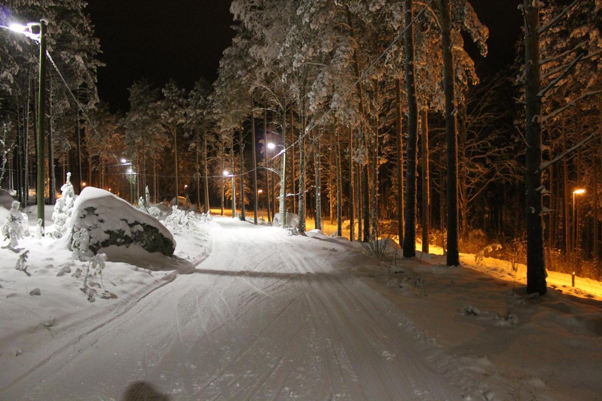 Kullasmarina Holiday Villas Padasjoki Extérieur photo